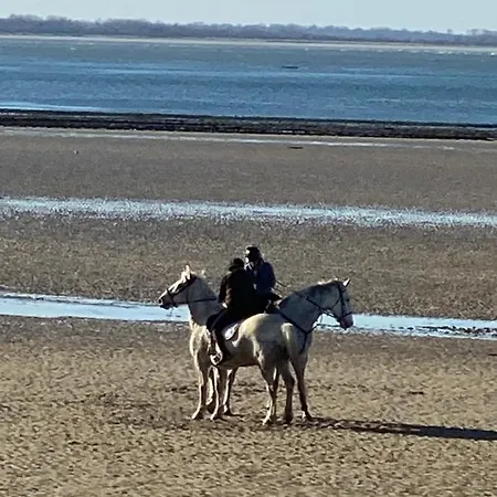 Manoir De La Riviere Bed and breakfast 4*