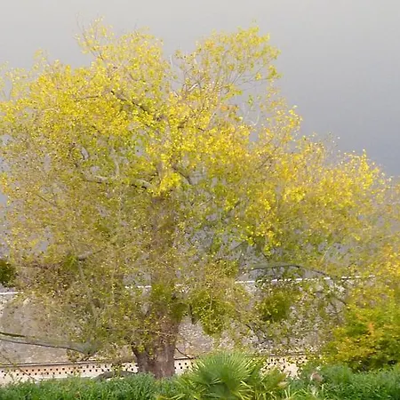 Manoir De La Riviere 4* Géfosse-Fontenay