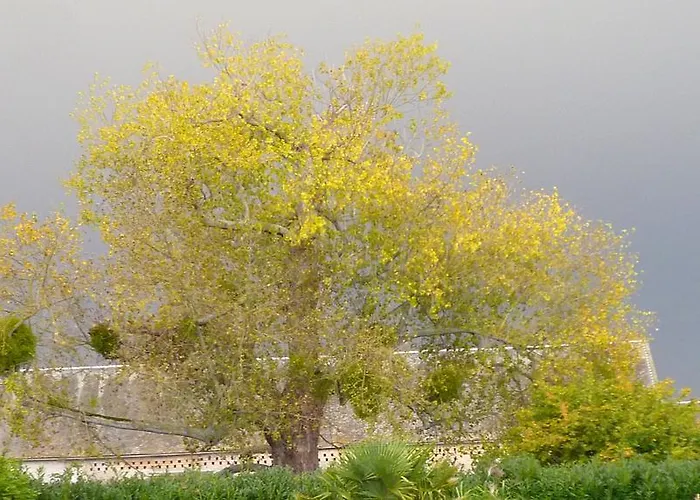 Manoir De La Riviere 4* Géfosse-Fontenay